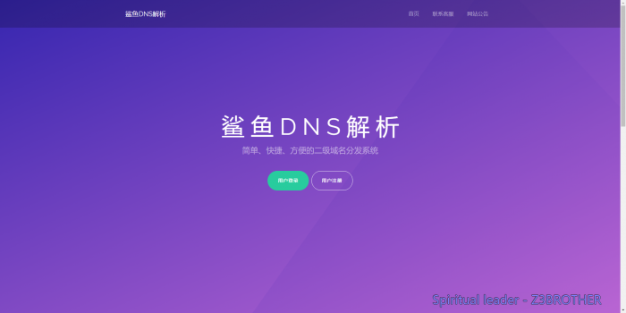 最新好看的二级域名分发系统梦幻版插图1