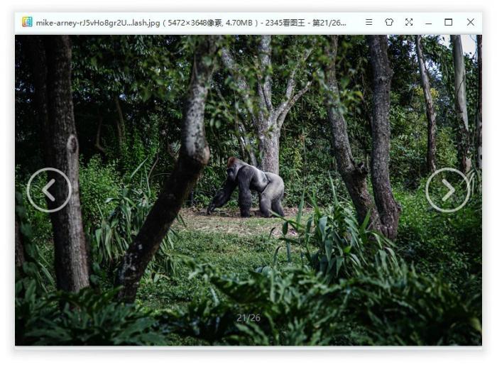 2345看图王v10.1.0.8899精简版插图4 2345看图王v10.1.0.8899精简版插图4