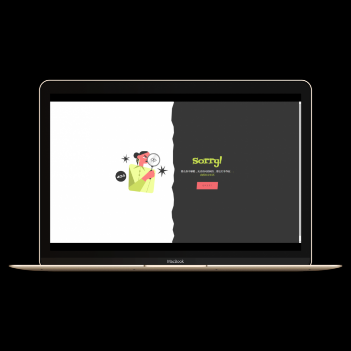 分享九款不同页面的404源码插图9