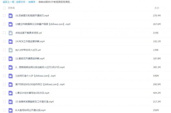 自媒体多期基础+高级VIP教程+抖音小程序玩法（月入20000+）+专场特性插图5