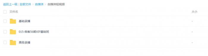 自媒体多期基础+高级VIP教程+抖音小程序玩法（月入20000+）+专场特性插图7