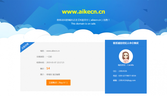 非常好看的网站域名出售页模板