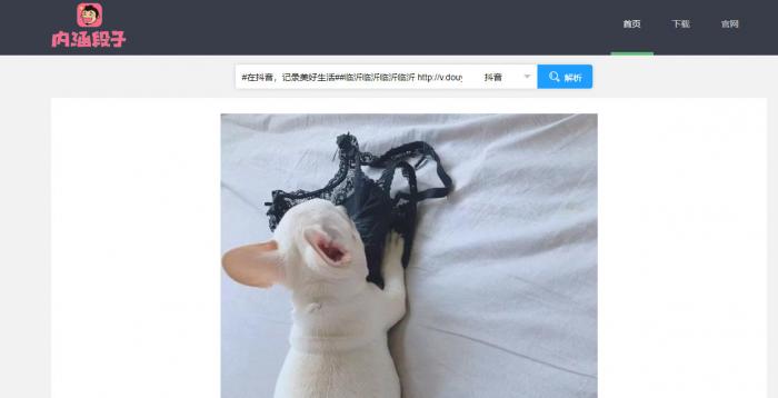 短视频无水印解析源码半开源分享