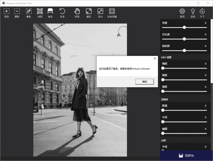 Picture Colorizer v2.4.0