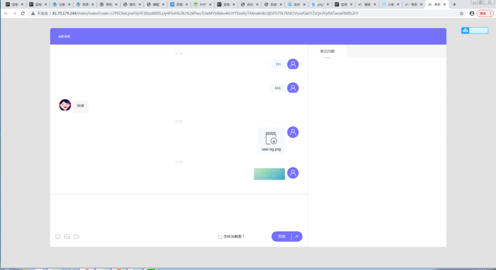 辰光PHP客服tb多商户全开源V3.1版【站长亲测】插图3