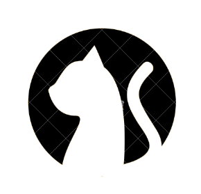 的头像-宪雯學网