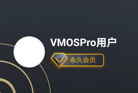 虚拟大师VMOS Pro专业版v1.3.1插图4 虚拟大师VMOS Pro专业版v1.3.1插图4