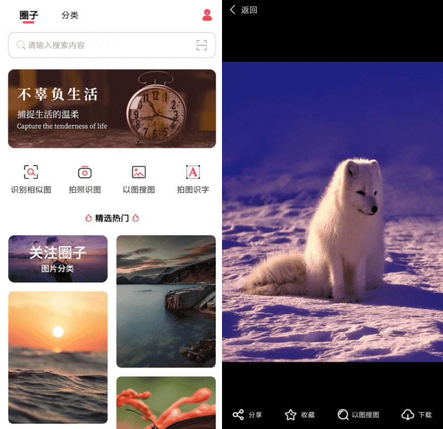 以图搜图v1.0.0纯净版