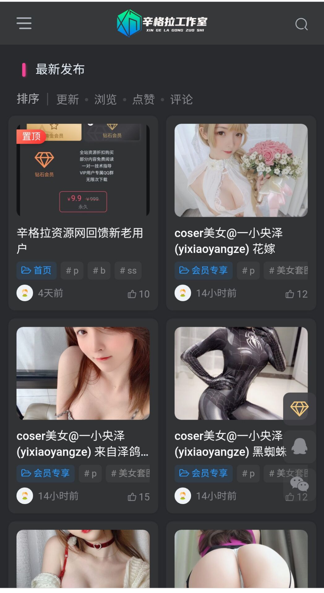 辛格拉资源网插图5