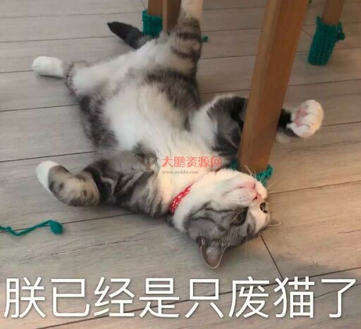 避孕不止安全套,17种避孕方法了解一下好兄弟们插图28 避孕不止安全套,17种避孕方法了解一下好兄弟们插图28