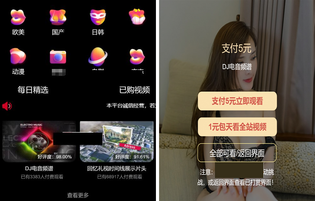 最新版付费视频打赏程序源码 多模板+全新UI 带包天+可扣量+代理 非云赏V系列插图1