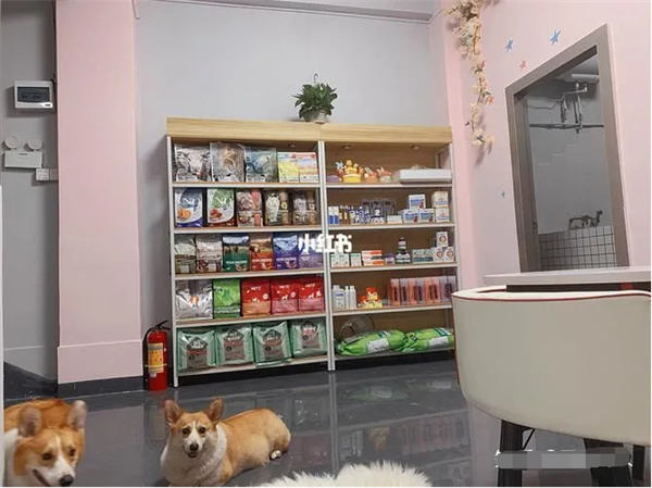 2023年将会有那些风口？插图11